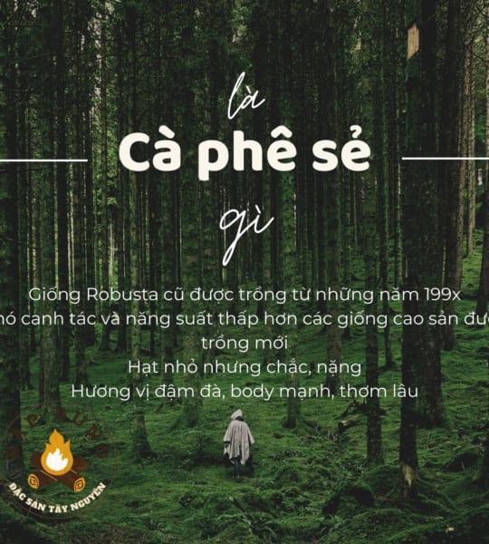 ẢNH GIẢI THÍCH CÀ PHÊ SẺ
