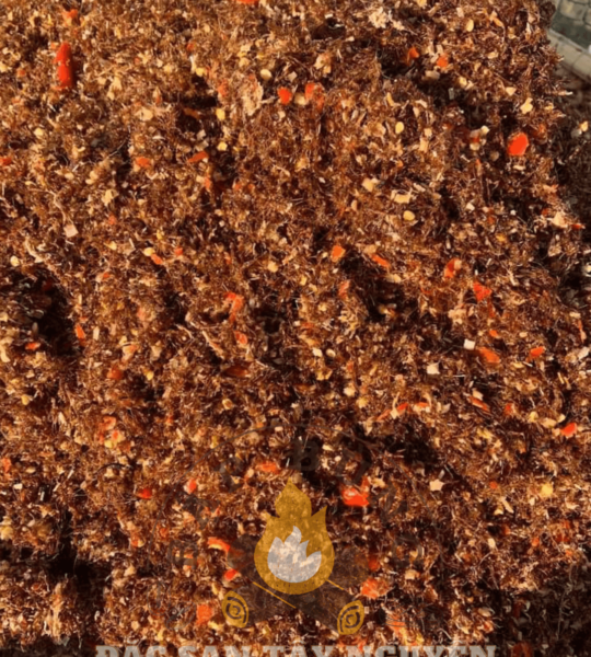 ẢNH PHƠI KIẾN VÀNG 4 – 2